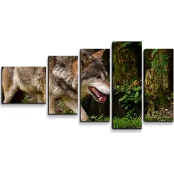 Obraz Sablio Obraz - 5-dílný Vlk - 100x60 cm