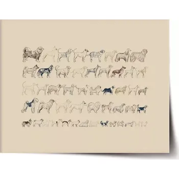 Plakát Sablio Plakát Psí plemena - 90x60 cm