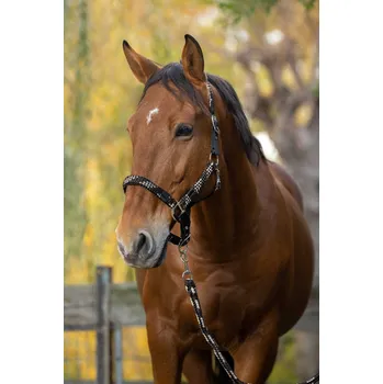 EQUITHÈME Set ohlávky s vodítkem Tressé Equithème, beige/chocolate/black FULL