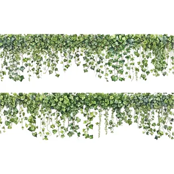 Sada dekorativní průhledné samolepicí pásky 5 cm x 200 cm s motivem zeleného břečťanu pro zdobení a kreativní dekorace