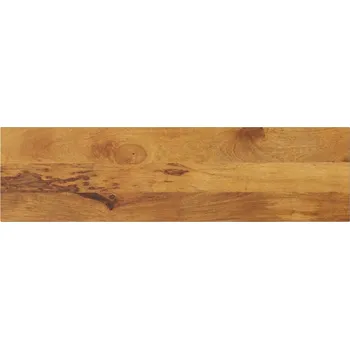 Konferenční stolek vidaXL Stolní deska 100 x 20 x 2,5 cm obdélníková mangovníkové dřevo [371285] Barva: Mangovníkové dřevo (dubová povrchová úprava)