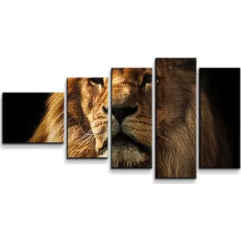Obraz Sablio Obraz - 5-dílný Lev - 100x60 cm