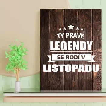 Plechová cedule Sablio Dárková cedulka Ty pravé legendy se rodí v listopadu: 30x40 cm