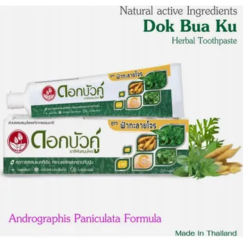 zubní pasta Thajská bylinná pasta s Andrographis – antibakteriální s nano vitamínem C 100 g