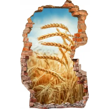 Fototapeta Nálepky na zeď fototapeta díra 619 Obilí