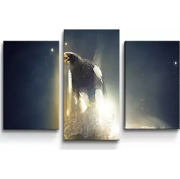 Obraz Sablio Obraz - 3-dílný Orel - 75x50 cm