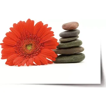 Plakát Sablio Plakát Gerbera s kameny - 60x40 cm