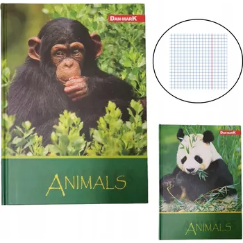 Sešit Sešit A5 s mřížkou Dan-Mark, 96 listů