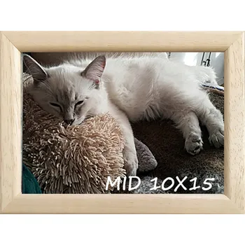 Obraz Klasický rámeček na fotografie na zeď i na postavení 10x15 dřevo