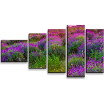 Obraz Sablio Obraz - 5-dílný Levandulové pole 2 - 100x60 cm