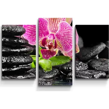 Obraz Sablio Obraz - 3-dílný Orchidej na kamenech - 75x50 cm