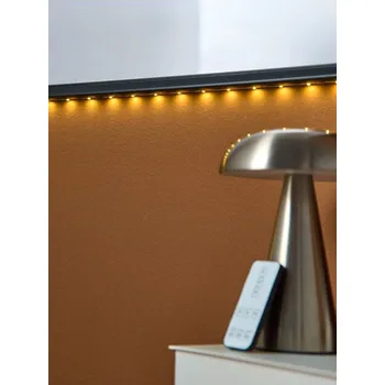 LED páska Sinsay - Bílý LED pásek 3 m s dálkovým ovládáním - bílá - 622FS-00X - 622FS-00X-ONE