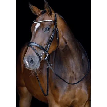 Věšák na sedlo a uzdečku HKM Uzdečka Melinda HKM, černá PONY