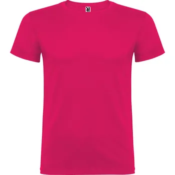 Chlapecké tričko Roly Dětské tričko Beagle Barva: růže (78), Velikost: 1