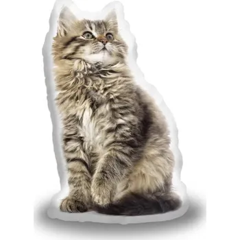 Polštář Sablio 3D polštář ve tvaru Chlupatá kočička