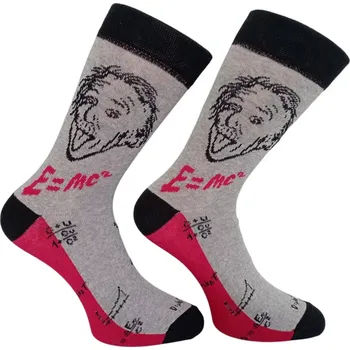 Dámské punčochy Dospělé ponožky Albert - 36-39 / šedá