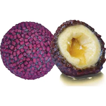 Boilies LK Baits Nutrigo Pellets Red Halibut, 250ml, 24mm