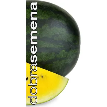 Semeno LETOSUN F1 - 10 s