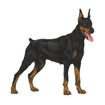 Samolepicí dekorace na vozidlo Barevný pes 028 pravá dobrman (9,6 x 10) SAMOLEPKA NA AUTO, NÁLEPKA, FÓLIE, POLEP, TUNING, VLASTNÍ TEXT, TISK, AUTOSAMOLEPKY.cz, POLEPY, OBRÁZEK, LOGO, 3D STICKERS