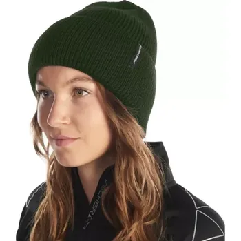 Čepice Čepice Fischer Logo Green (Beanie)