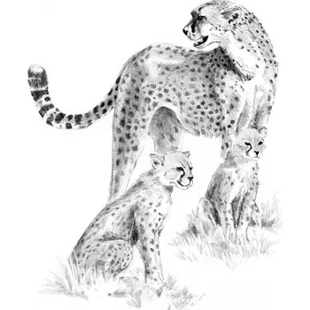 Výuková hračka Malování SKICOVACÍMI TUŽKAMI- Gepardí rodinka MM