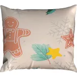 Povlak PLUS 40x40 cm PARNA zelený