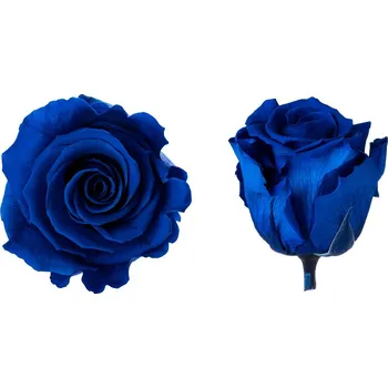 Hlavy růží - standard 6 ks Royal blue - tmavě modrá
