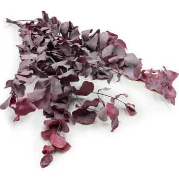 mech-mech.cz Stabilizovaný eukalyptus Blahovičník - červený