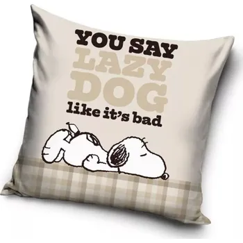 Polštář Povlak na polštář Snoopy (4)