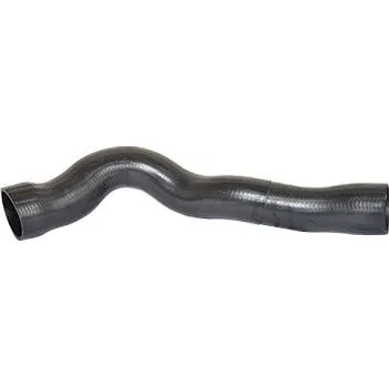 Hadička plnicího vzduchu BUGIAD 81620