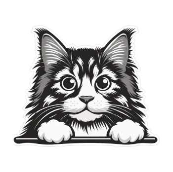 Samolepicí dekorace na vozidlo Barevná kočka 023 kouká z okna (10 x 8,3) SAMOLEPKA NA AUTO, NÁLEPKA, FÓLIE, POLEP, TUNING, VLASTNÍ TEXT, TISK, AUTOSAMOLEPKY.cz, POLEPY, OBRÁZEK, LOGO, 3D STICKERS