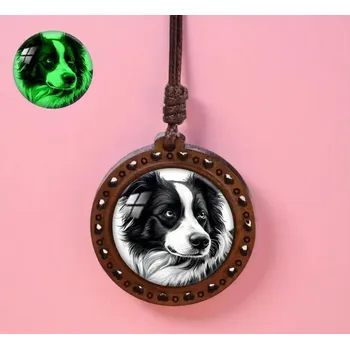 Řetízek Náhrdelník border kolie