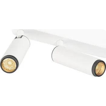 BIG WHITE (SLV) GRIP! S Povrchové stropní svítidlo, dvojité, PHASE, 2700 K, 21 W, 29°, bílá / černá 1009044