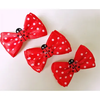 Vodítko pro psa Mašlička 4cm na pinetku červená s beruškou