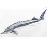 Polštář Vyza velká Giant 140 cm