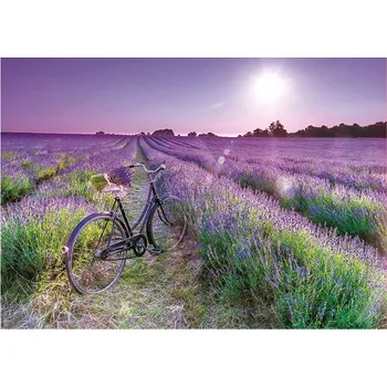 Puzzle Educa Puzzle Kolo v levandulovém poli 1000 dílků