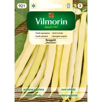 Semeno Fazol na lusky Berggold (keříčkový, žlutý) 10/2025