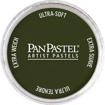 PanPastel suchý pastel – různé odstíny 660.3 - Chrom. Ox. Green Shade