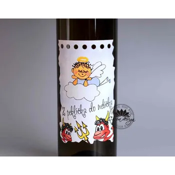 Víno Víno s etiketou - Z peklíčka do nebíčka víno: Cabernet Sauvignon Rosé - polosuché