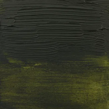 Speciální výtvarná barva Akrylové barvy Amsterdam Expert Series 75 ml 620-Olivovo zelená (3)