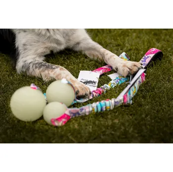 Hračka pro psa Sweet Energy.cz Chuckit! Max Glow bungee Agility komiks Velikost: M