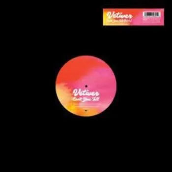 Zahraniční hudba LP Vetiver: Can't You Tell (Remixes) LTD 2011 Limited Edition Vinyl