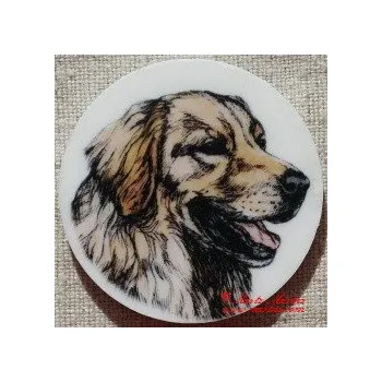 Hovawart magnet nebo placka - Magnet