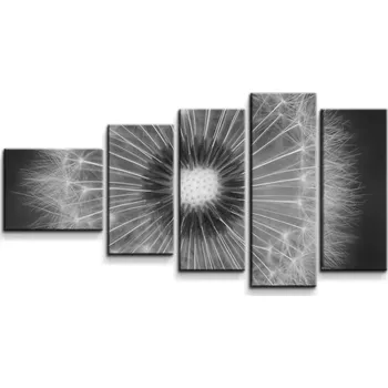 Obraz Sablio Obraz - 5-dílný Černobílá pampeliška - 100x60 cm