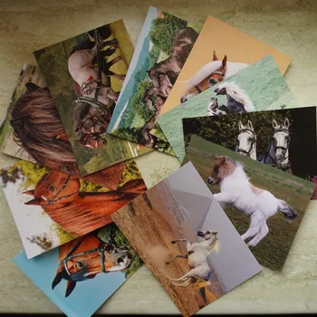 Pohlednice koní Klub sběratelek - viz popis