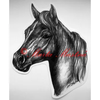 Samolepka minihorse, pony, kůň, koně c440 - Malá - přibližně jako pohlednice