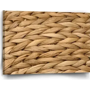 Obraz Sablio Obraz Banánové listí 2 - 60x40 cm