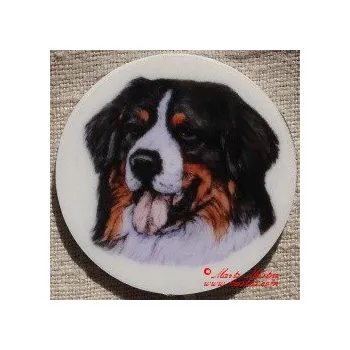 Bernský salašnický pes magnet nebo placka - Magnet