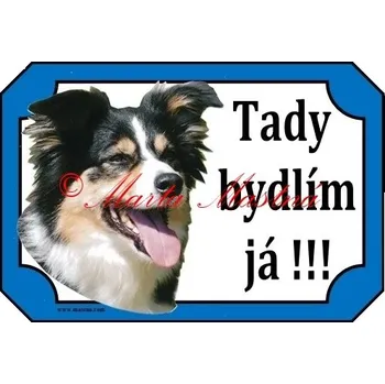 Cedulka border kolie trikolor 2 - Bez samolepicí vrstvy