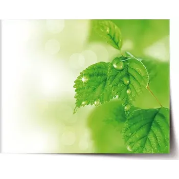 Plakát Sablio Plakát Listy 3 - 60x40 cm